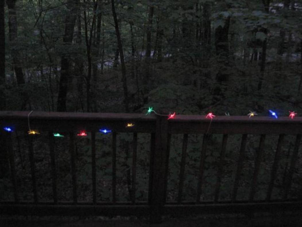Wintergreen