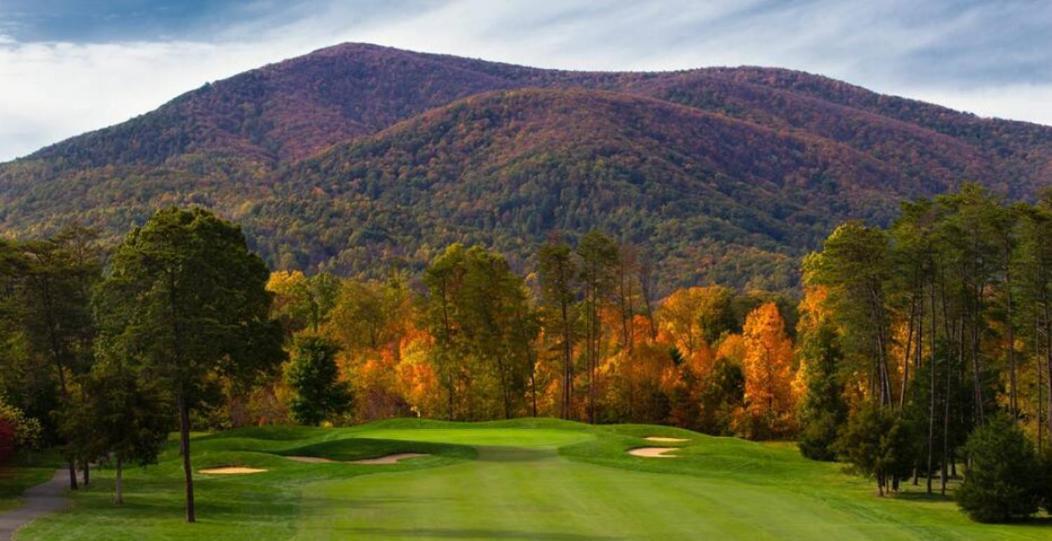 Wintergreen Holiday home