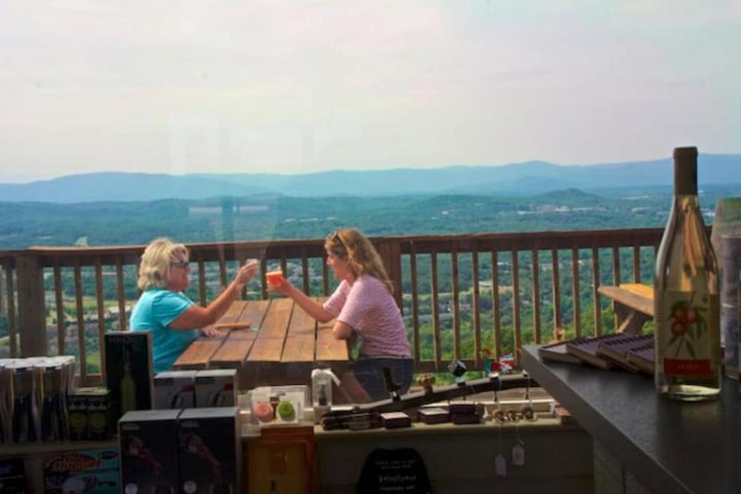 Wintergreen * Mount Torry Furnace