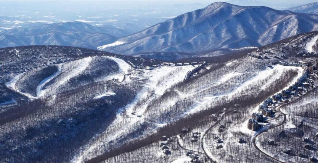 Wintergreen Mount Torry Furnace